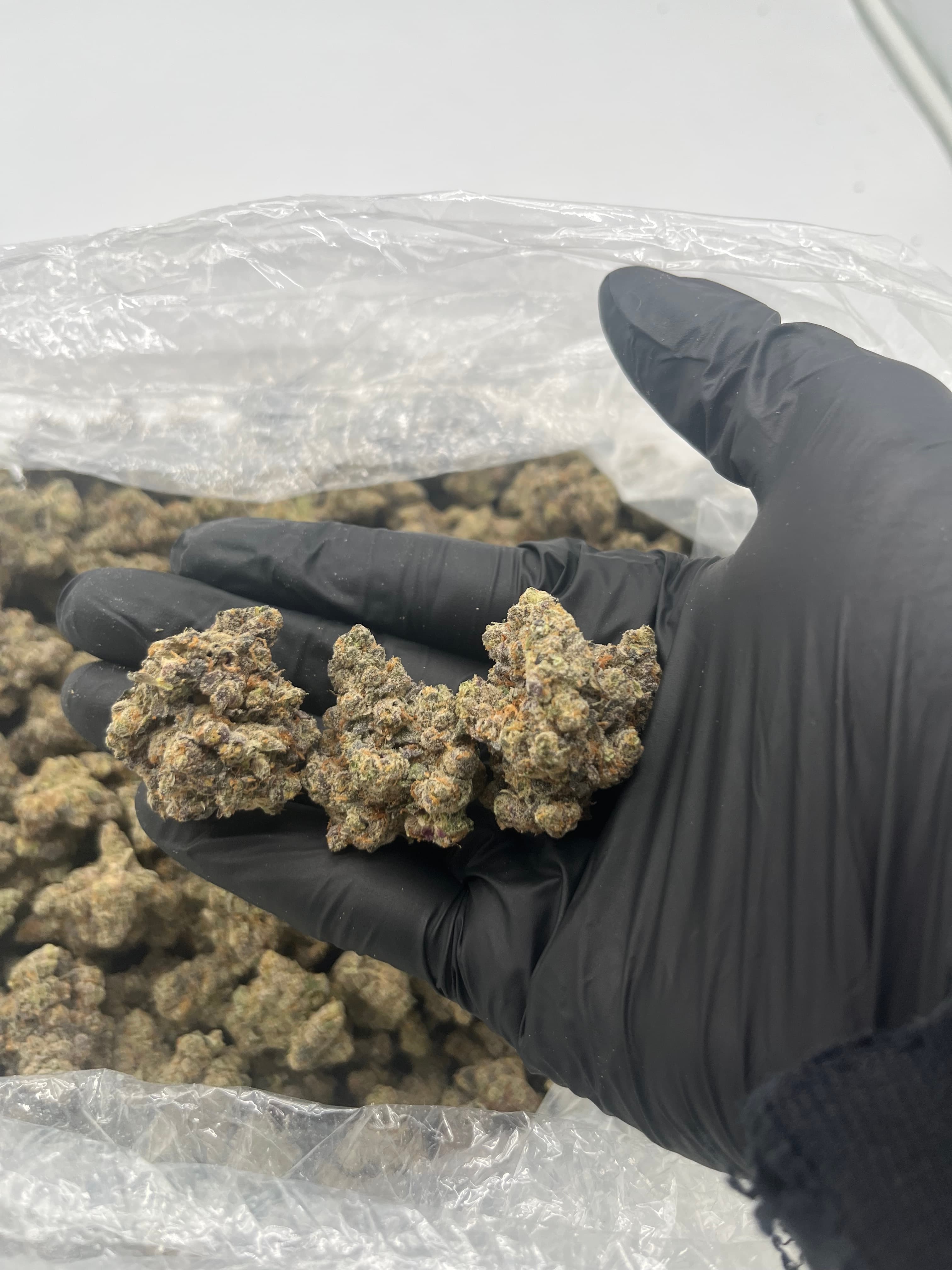 Michael Jordan Runtz — Premium THC-A hemp flower